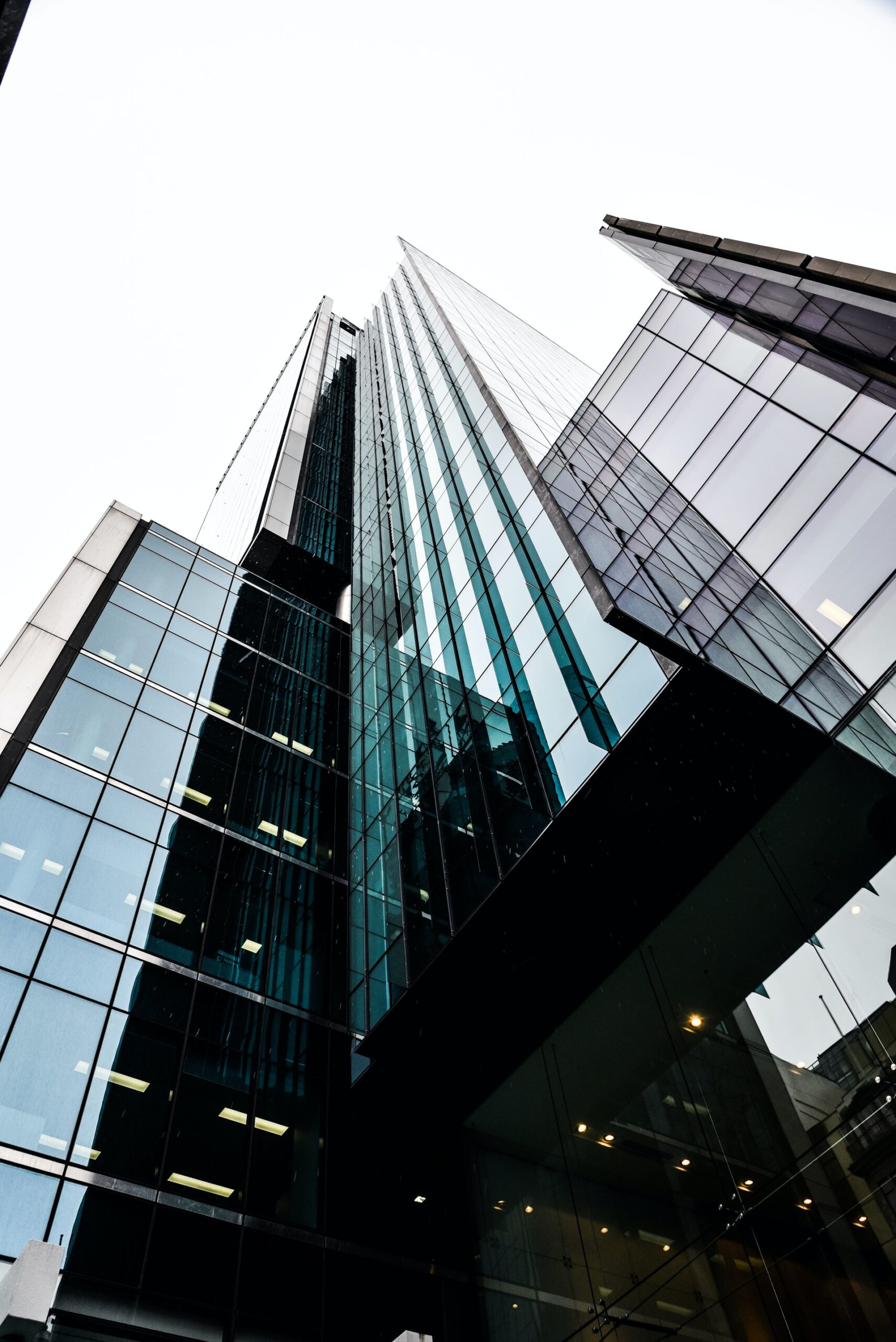 The OVH Group